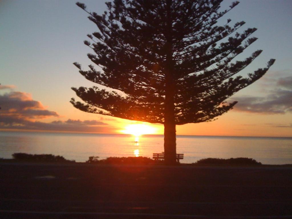 Inn The Bay Bed & Breakfast Kaikoura Eksteriør bilde